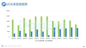 199it 山东互联网数据服务的新兴力量与区域发展引擎